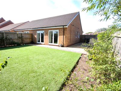 Picture 10